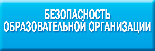 Безопасность образовательной организации