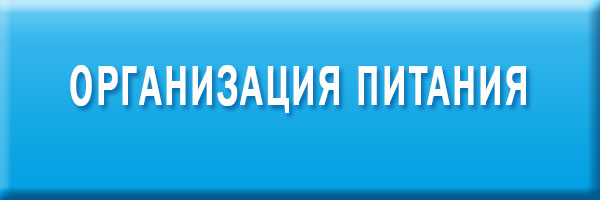 Организация питания в образовательной организации