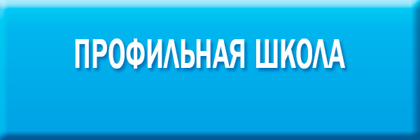 Профильная школа